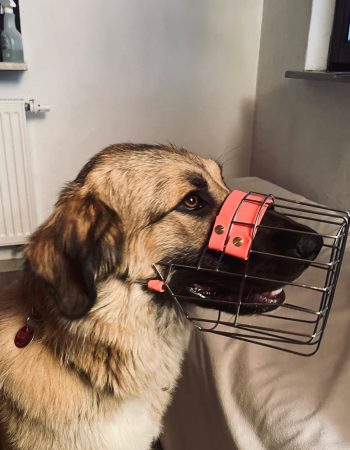 WhatsApp Image 2026-01-18 at 14.46.05